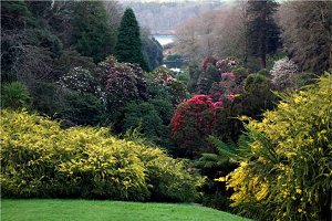 Trebah Gardens